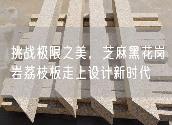 挑戰極限之美，芝麻黑花崗巖荔枝板走上設計新時(shí)代