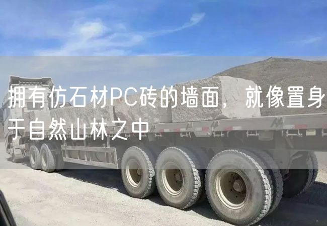 擁有仿石材PC磚的墻面，就像置身于自然山林之中