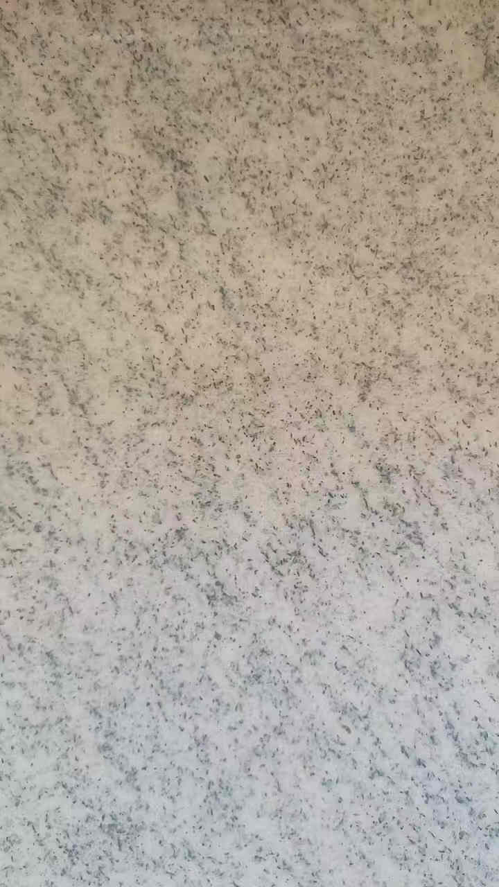 白麻 芝麻白報價(jià)一平方