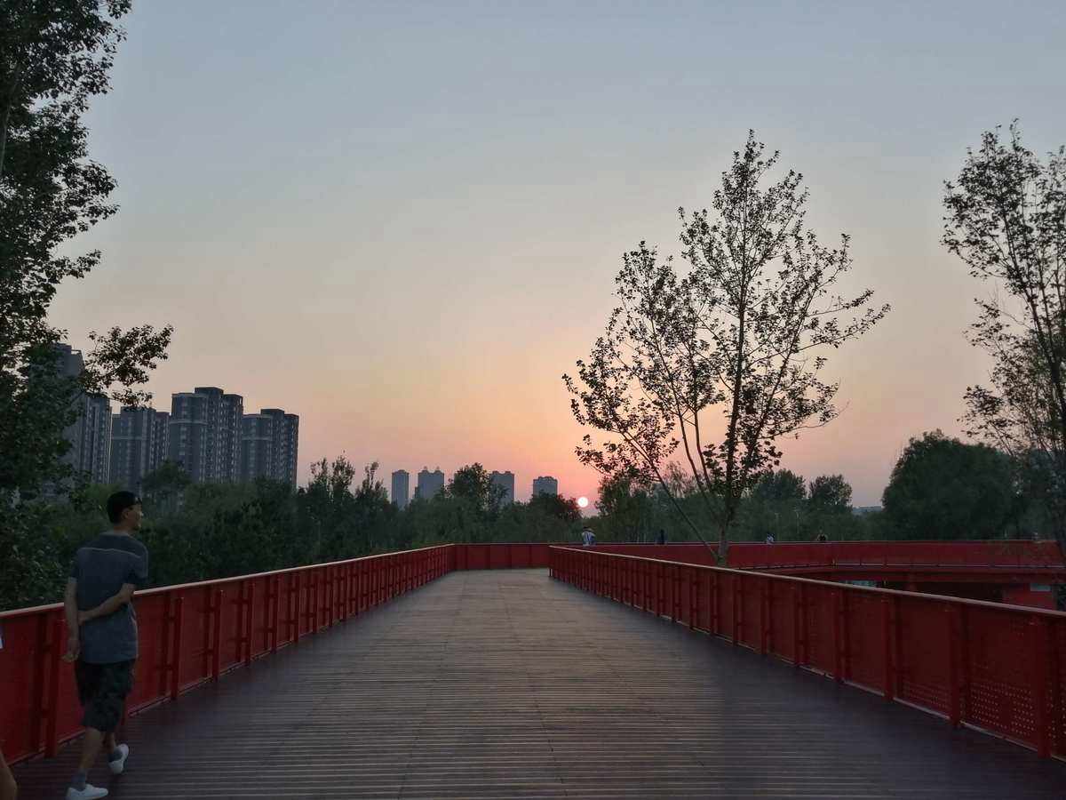 簡(jiǎn)約高效！清晰易讀的個(gè)人簡(jiǎn)歷模版，讓你輕松與招聘官建立良好第
