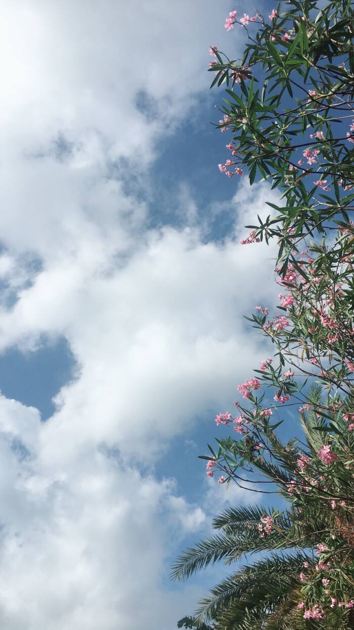 青石板踏步石，汀步石花園草坪庭院裝飾園林景觀(guān)防滑踏腳石鋪路地