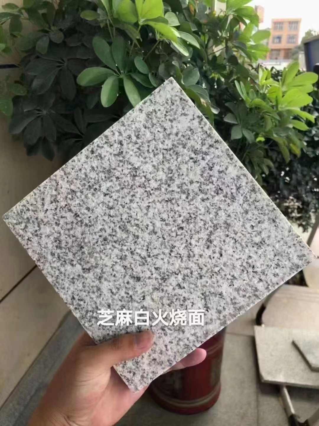 芝麻白石材多少錢(qián)一平方市場(chǎng)價(jià)(圖2)