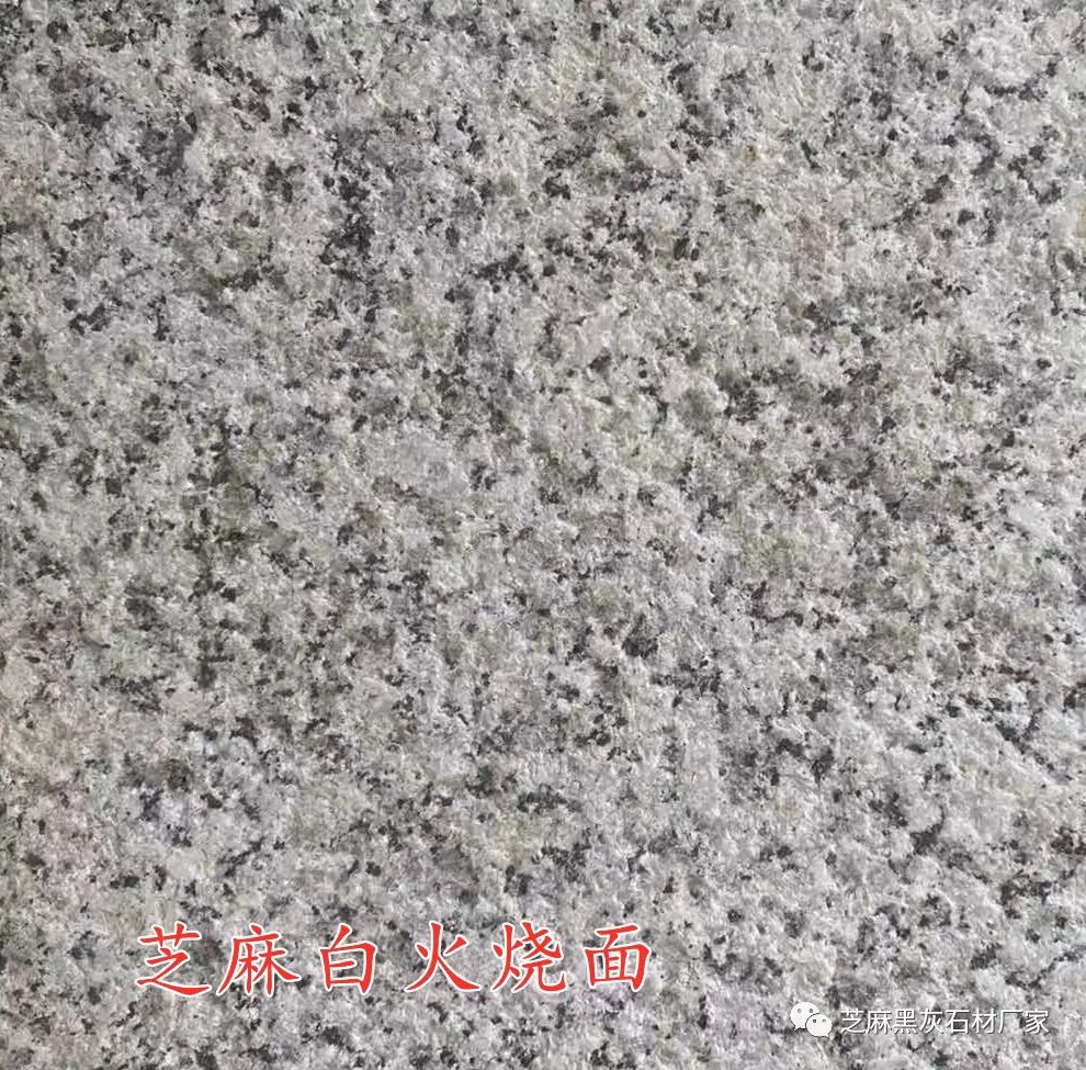 火燒面芝麻白多少錢(qián)(圖1)
