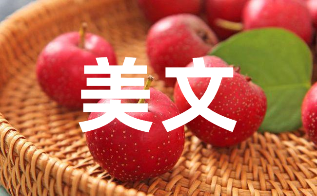探究周寧美文線(xiàn)下寫(xiě)作：如何讓手寫(xiě)字更加優(yōu)美？